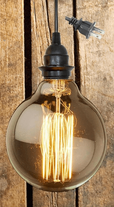 Edison Bulb Pendant Plug In Light 5"W - Sale !